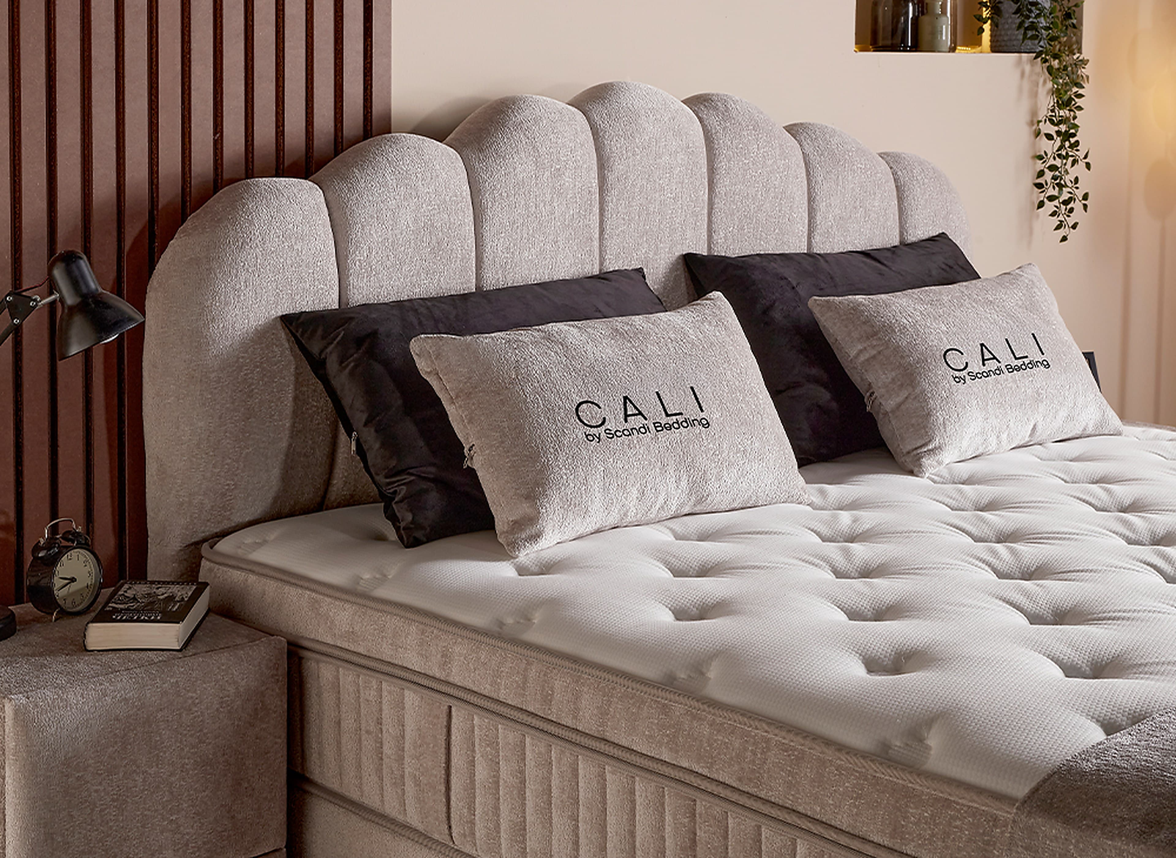Cali – Ansicht 6